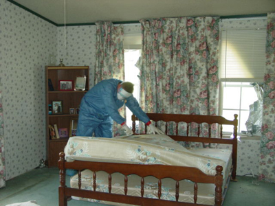 crime scene cleaners hamilton
